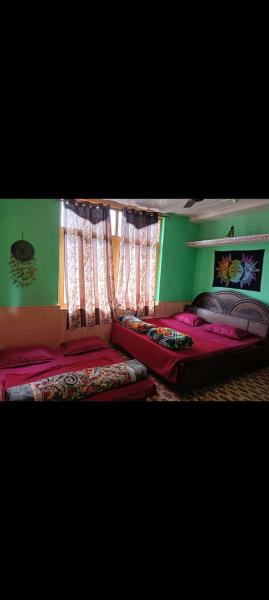 Wild Homestay